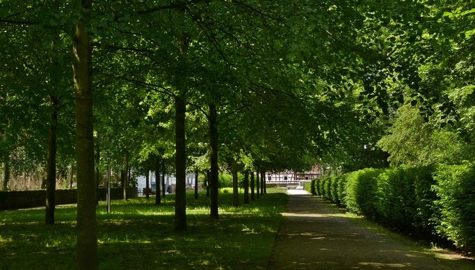 Der sogenannte Baumsaal wurde 2007 wiederhergestellt. Alten Plänen zufolge soll er sich oberhalb der Mainaue erstreckt haben