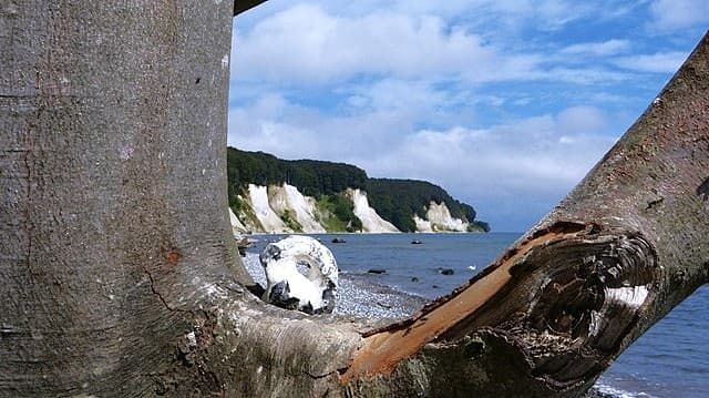 Die Kreidefelsen auf Rügen