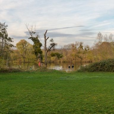 Mainufer | Rumpenheim