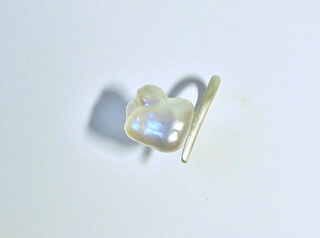 12038-Ring-185€-Gr55-Süßwasserzuchtperle-Silber