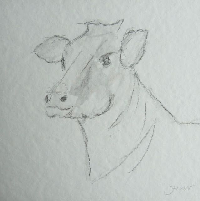 Fauna & Flora | Atelier JUTTA HINGST
