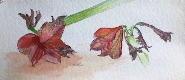 Fauna & Flora | Atelier JUTTA HINGST