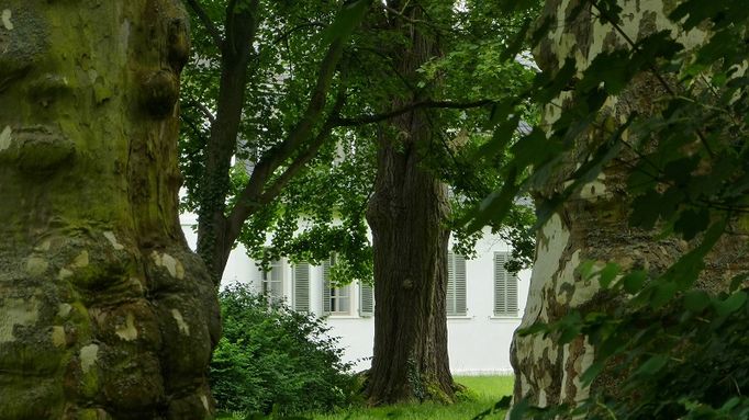 AtelierMAGAZIN | Schlosspark Rumpenheim
