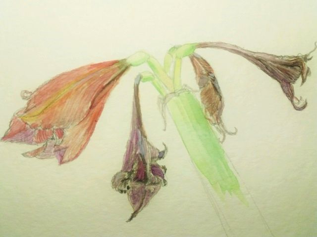 Fauna & Flora | Atelier JUTTA HINGST
