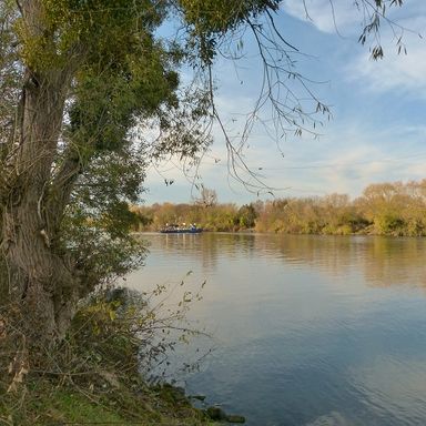Mainufer | Rumpenheim