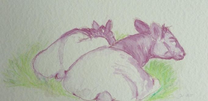 Fauna & Flora | Atelier JUTTA HINGST