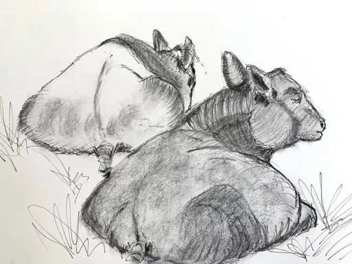 JUTTA HINGST | Bilderwelten