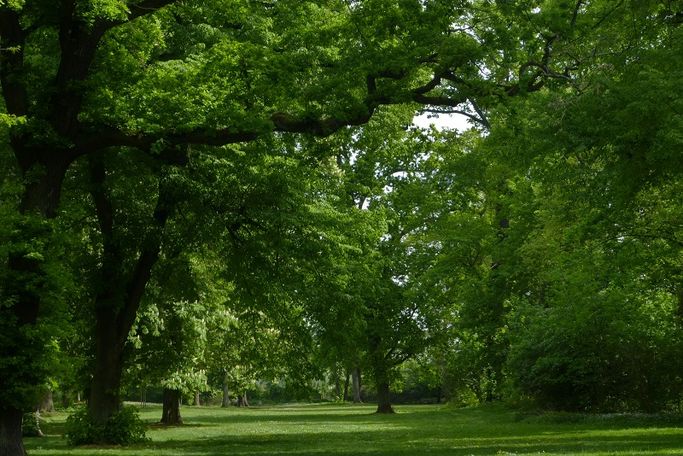 AtelierMAGAZIN | Schlosspark Rumpenheim
