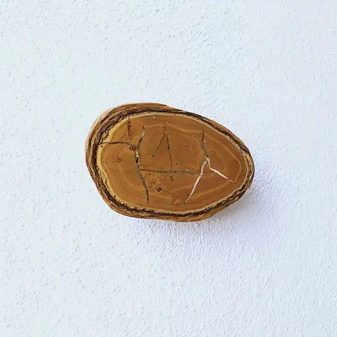 12813-Wandobjekt-55€-11cm breit 2,5cm dick-Septarie