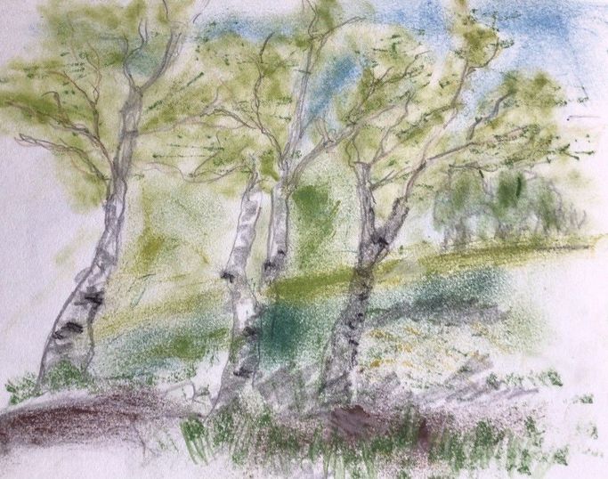 Fauna & Flora | Atelier JUTTA HINGST