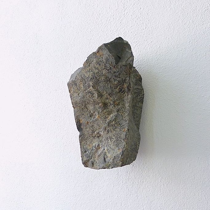 12800-Wandobjekt-210€-23cm-Basalt-Fundort: Rhön, Haselstein Steinbruch Suhl