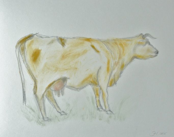 Fauna & Flora | Atelier JUTTA HINGST