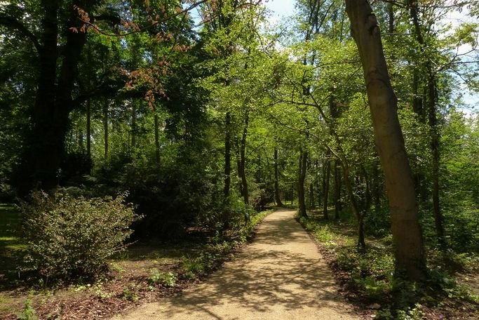 Der wieder hergestellte historische Weg zum Schweizerhaus und zur Zarenlinde