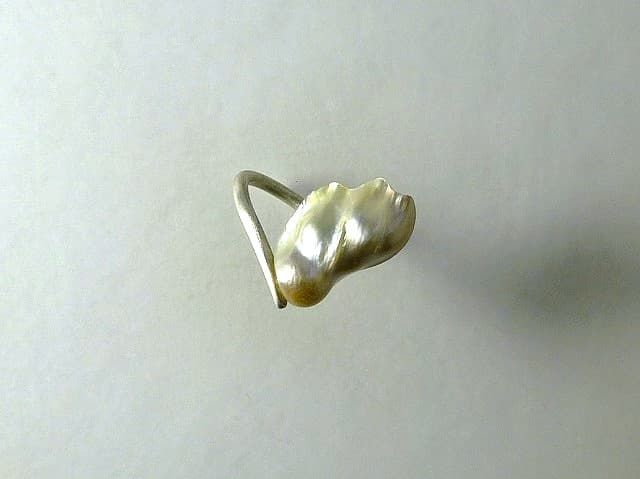 12180-Ring-155€-Gr60-Blister Zuchtperle-Silber