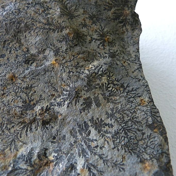 12800-Wandobjekt-210€-23cm-Basalt-Fundort: Rhön, Haselstein Steinbruch Suhl