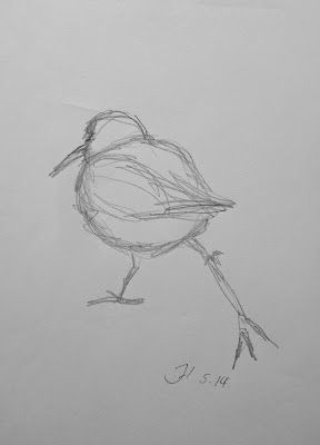 Fauna & Flora | Atelier JUTTA HINGST