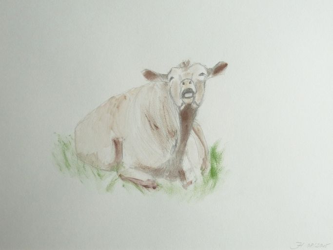 Fauna & Flora | Atelier JUTTA HINGST