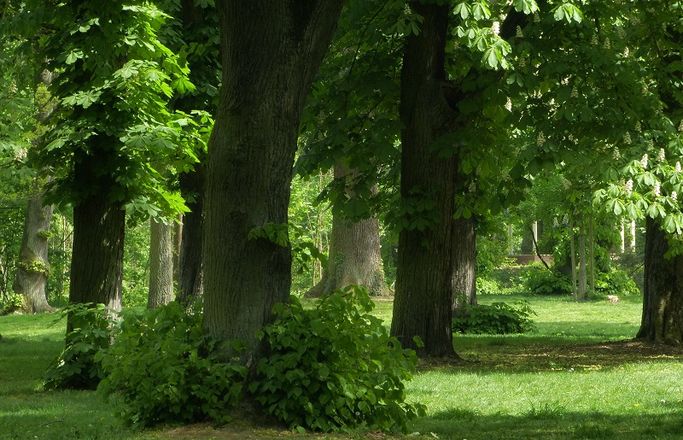 AtelierMAGAZIN | Schlosspark Rumpenheim