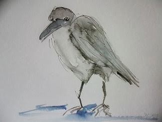 Fauna & Flora | Atelier JUTTA HINGST
