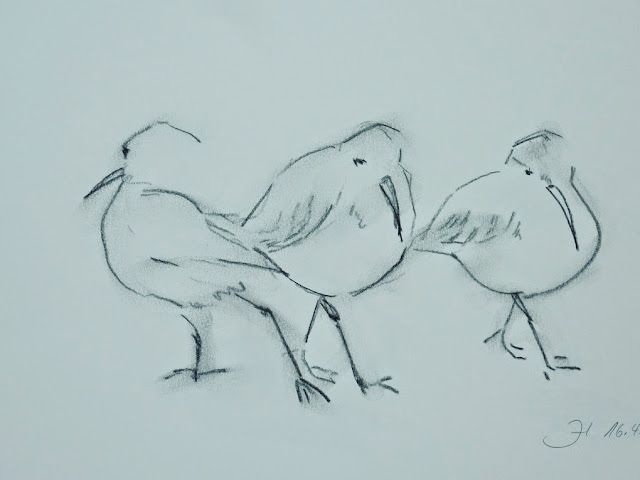 Fauna & Flora | Atelier JUTTA HINGST