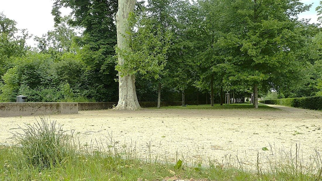 Treffpunkt 1 | Schlosspark Rumpenheim