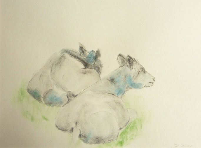 Fauna & Flora | Atelier JUTTA HINGST