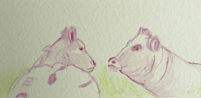 Fauna & Flora | Atelier JUTTA HINGST