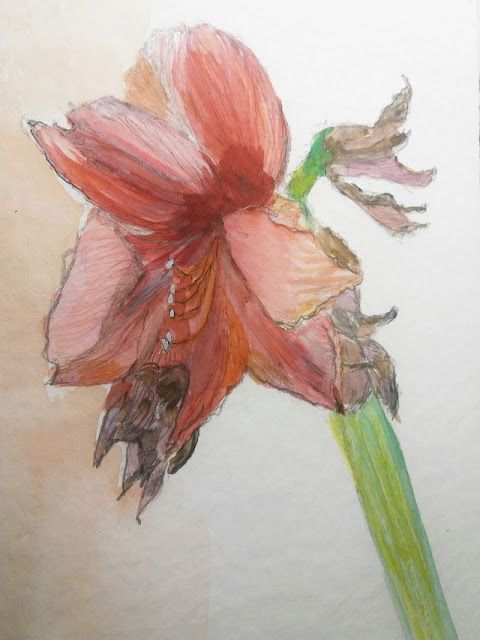 Fauna & Flora | Atelier JUTTA HINGST